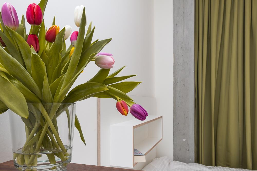 Gasthof Seminarhaus S1516 Berlin
